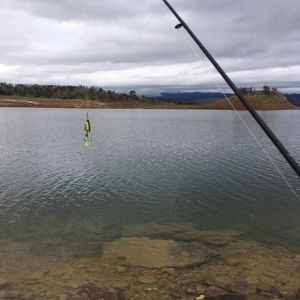 Meet your Posher, Priscilla